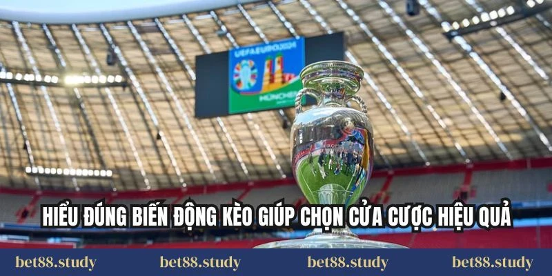 Hiểu đúng biến động kèo giúp chọn cửa cược hiệu quả