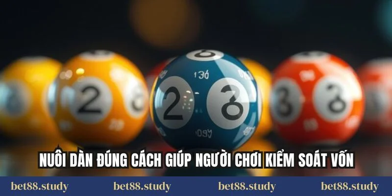 Nuôi dàn đúng cách giúp người chơi kiểm soát vốn